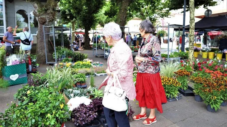 Carballo Street Market