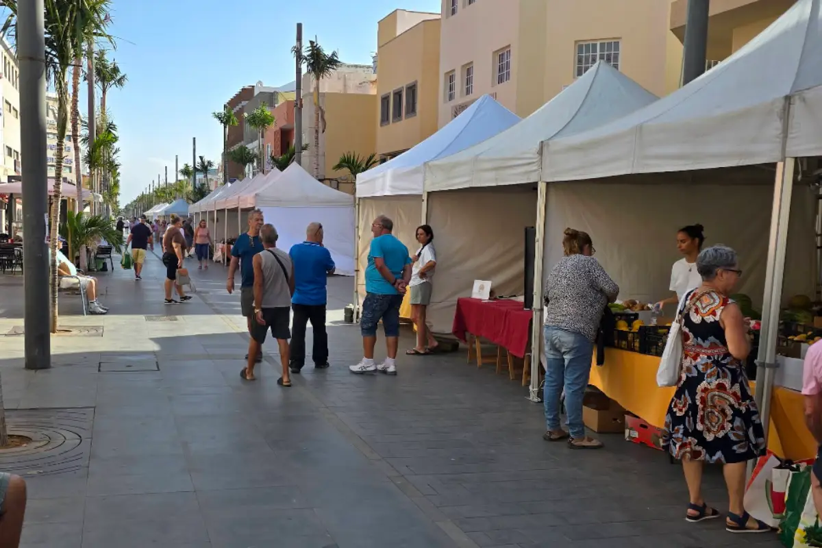 Agrícola del Cruce de Arinaga