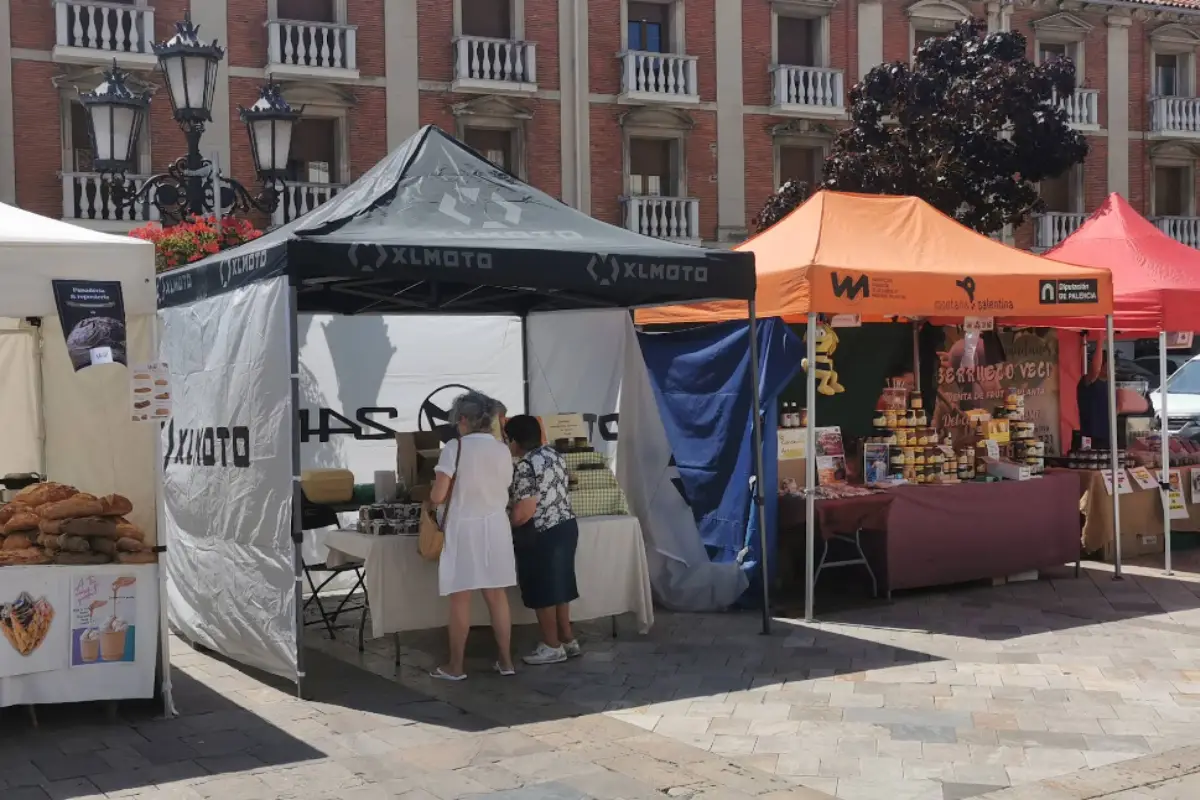 Aguilar de Campoo Flea Market