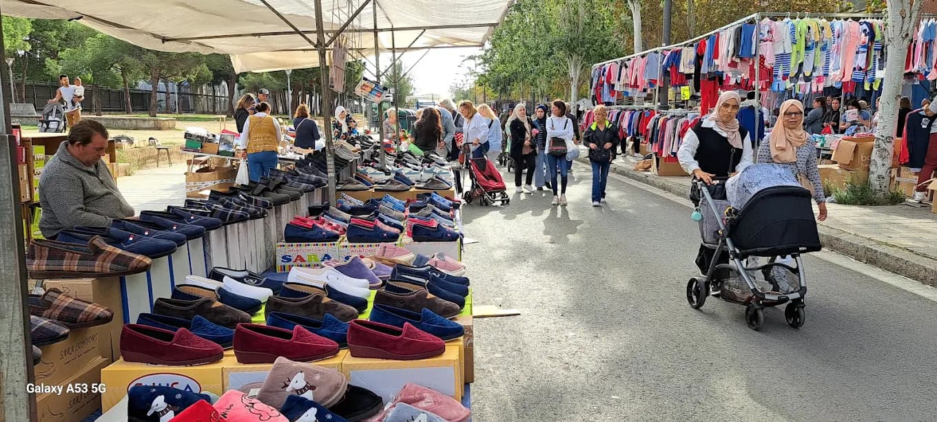 Alba de Tormes Street Market