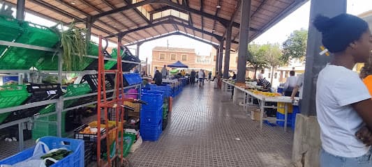 Algueña Sunday Market at Plaza de España
