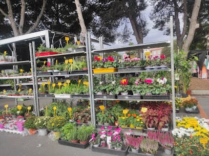 Peñíscola Street Market