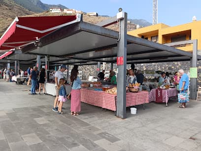 La Frontera Municipal Street Market
