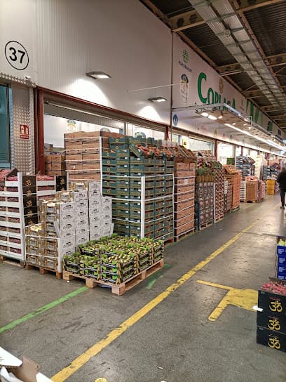 MercaMadrid - Central Fish Market