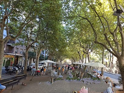 Brocanters Market of Reus