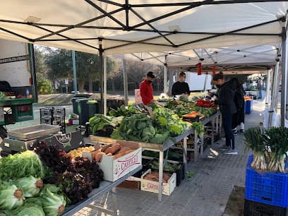 Wednesday Market