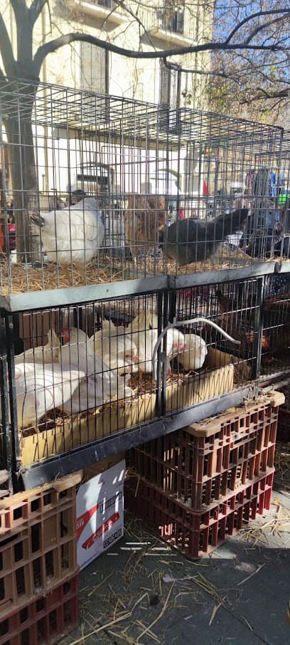 Vilafranca del Penedès Saturday Market