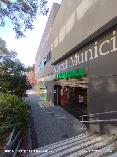 Constitution Municipal Market