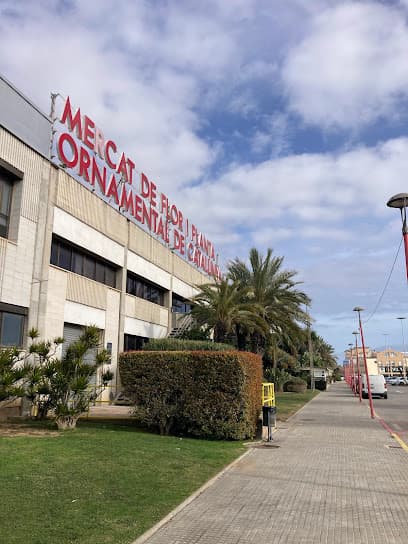 Mercat de Flor i Planta Ornamental de Catalunya
