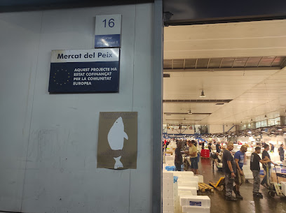 Mercabarna: Central Fish Market