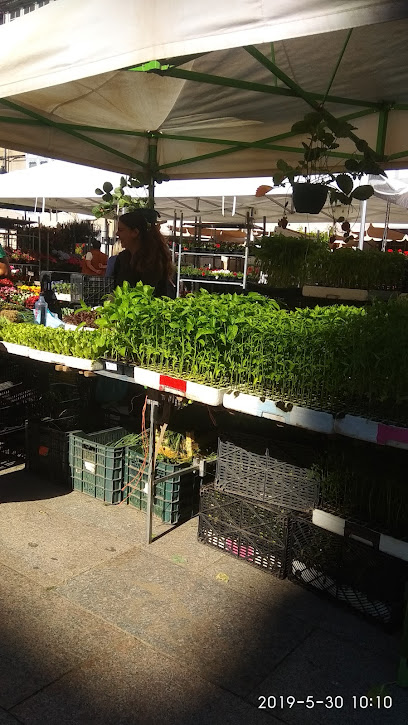 Celanova Street Market