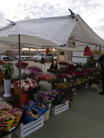 Marchamalo Street Market