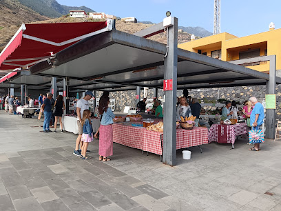 La Frontera Municipal Street Market