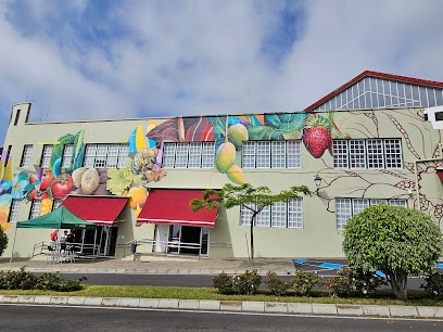 Villa de Mazo Municipal Market