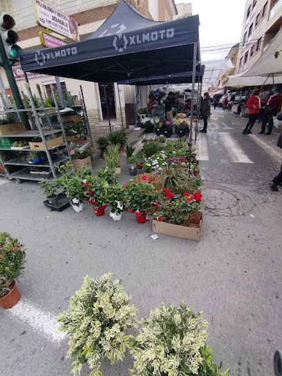 Sangonera la Seca Street Market