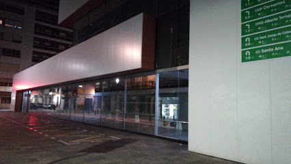 Algemesí Municipal Market