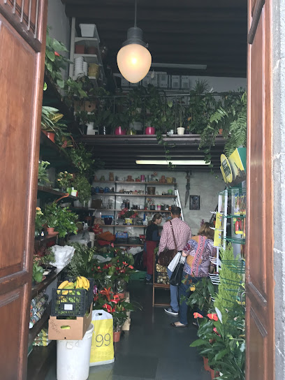 Santa Cruz de La Palma Municipal Market