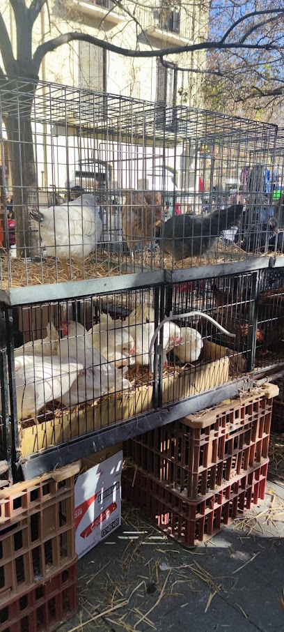 Vilafranca del Penedès Saturday Market