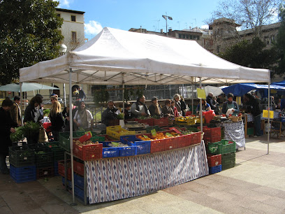 Palma Organic Market