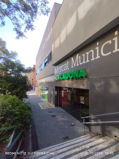 Constitution Municipal Market