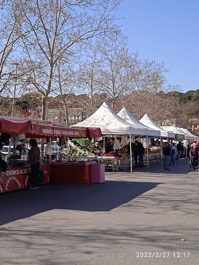 Sant Antoni de Vilamajor Weekly Market